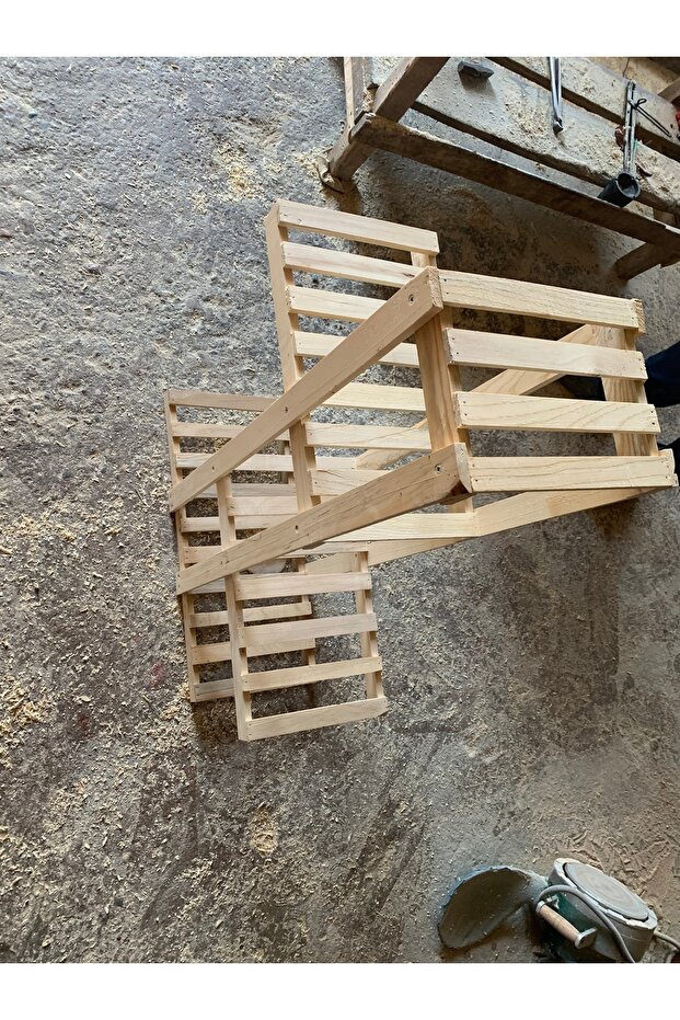 Saksılık çiçek - 2