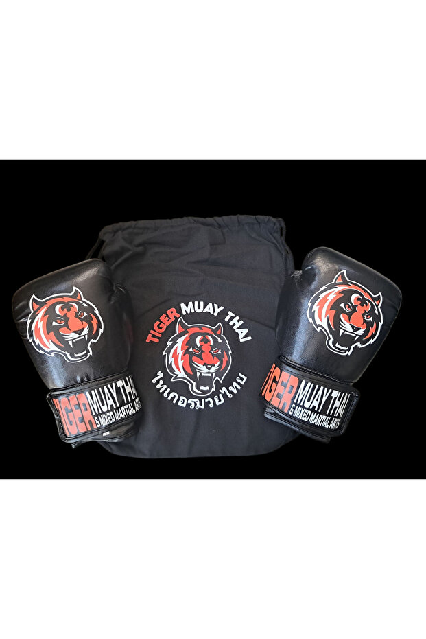 Boxing Glove Set - 4