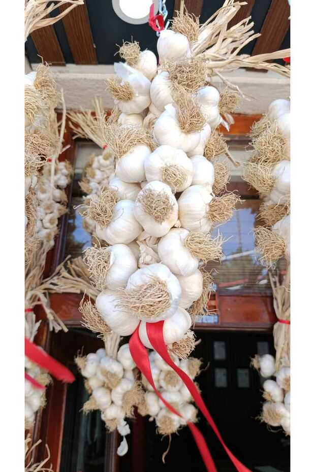 TAŞKÖPRÜ SARIMSAĞI İRİ BOY - 1