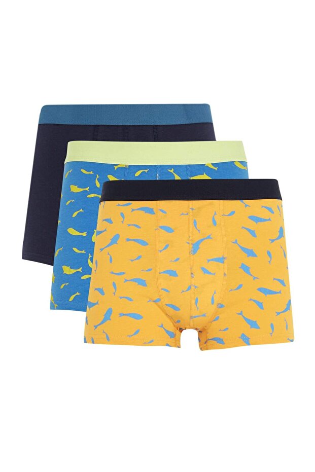 Regular Fit 3'lü Boxer - 1