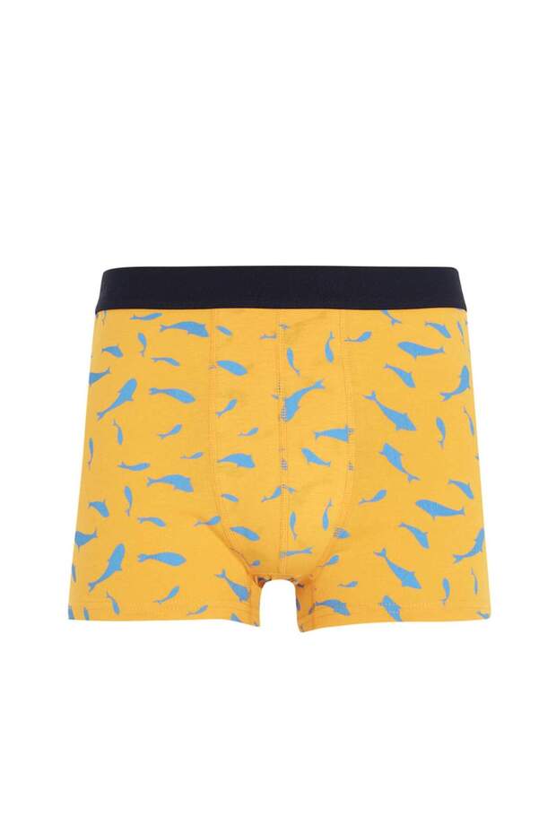 Regular Fit 3'lü Boxer - 2