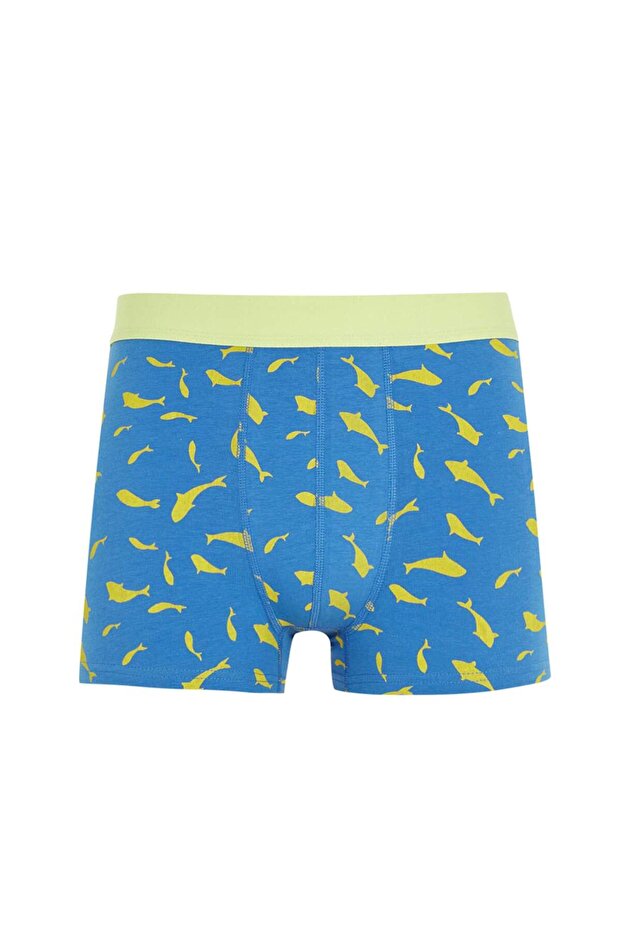 Regular Fit 3'lü Boxer - 6