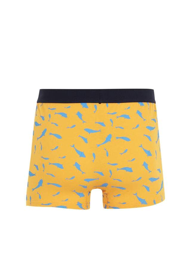 Regular Fit 3'lü Boxer - 3