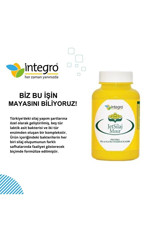 JETSİLAJ MISIR