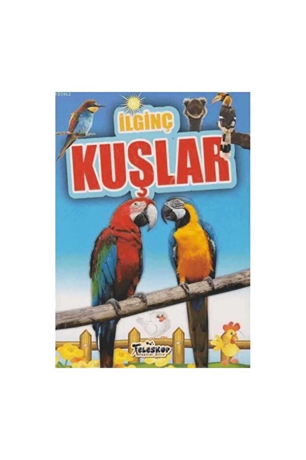 الطيور الغريبة