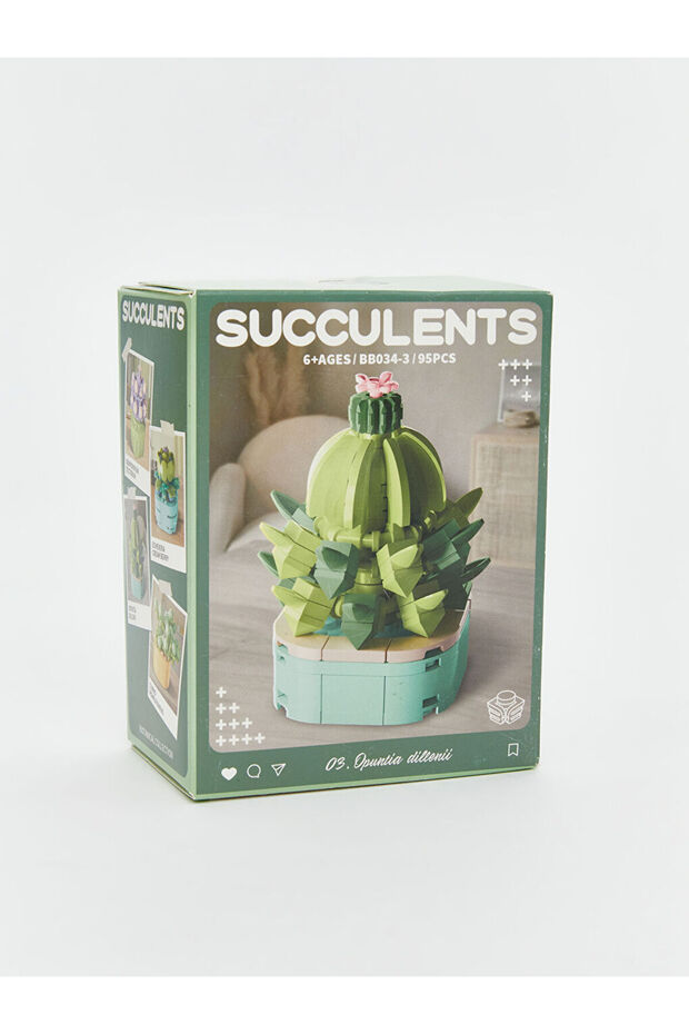 Sparkling Choices from Shining Store |   Succulent Flower Model Making Set - 7