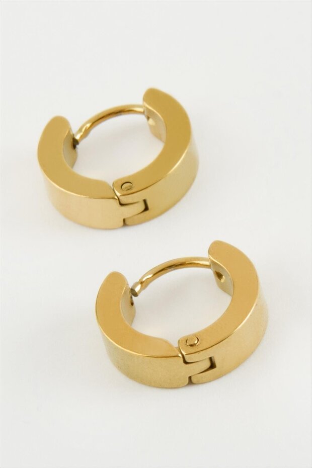 Needle Men's Steel Earrings