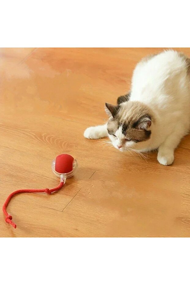 Smart Self-Rotating Cat Toy 360 °   Movement with Bird Sounds: Fun and Exercise - 8