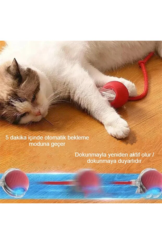 Smart Self-Rotating Cat Toy 360 °   Movement with Bird Sounds: Fun and Exercise - 4