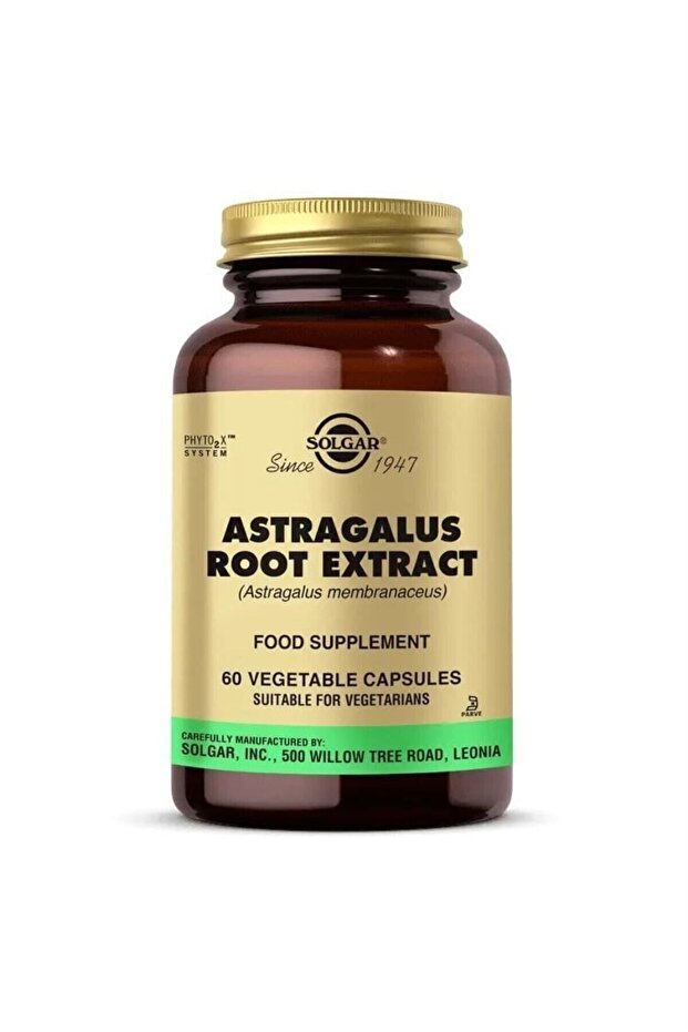 Astragalus Root Extract 60 Kapsül - 1