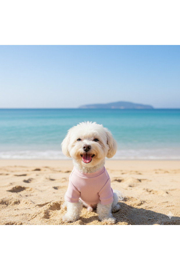 ملابس أساسية للكلاب مصنوعة يدويًا (للفئات الصغيرة والمتوسطة) - 1