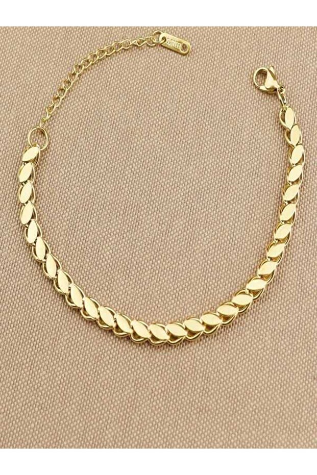 إسقاط نموذج سوار - 1