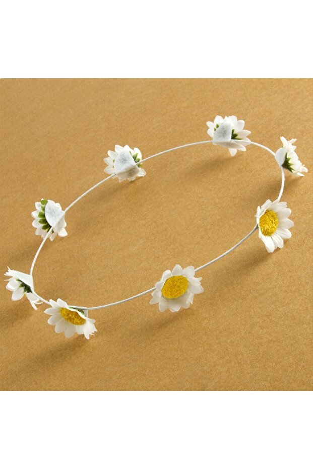 Daisy Circle Crown