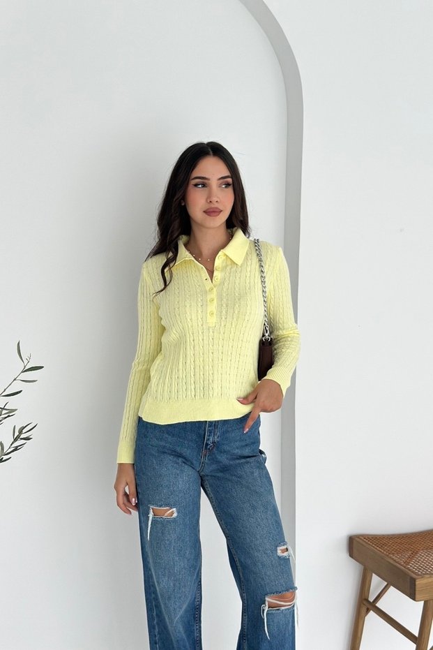 Polo Neck Half Placket Buttoned Hair Braided Knitwear Sweater Aw25Kz0022