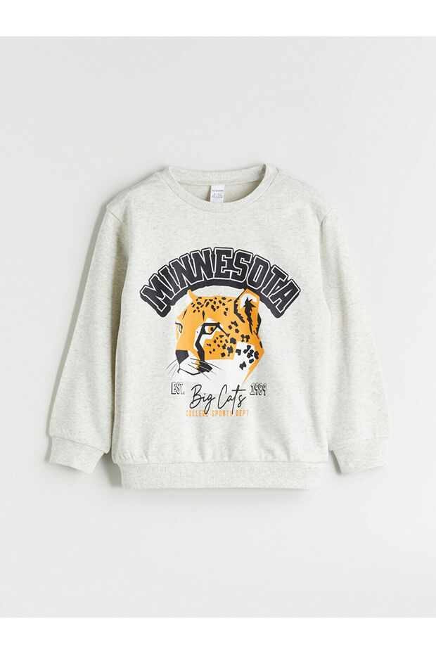 Two Mt Shop Quality Lcw Kids White 3 Thread Printed Standard & Regular Boys' Sweatshirt