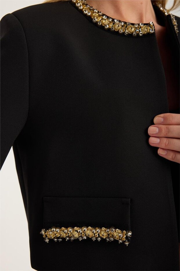 Kısa Payet İşlemeli Ceket - 4