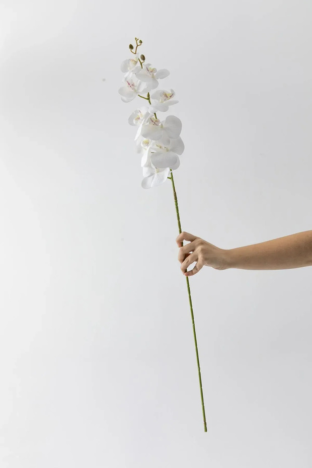 Yapay Islak Orkide Çiçeği Beyaz Tek Dal 100 cm - 3