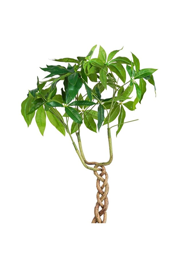 شجرة الحظ الاصطناعية - 60 سم - 3