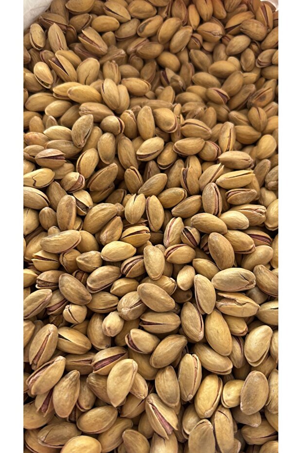 Antepfıstığı - 1