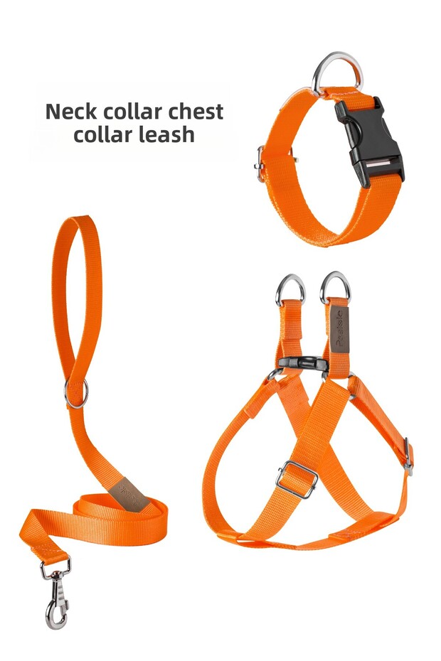 Dog Harness Walking Harness Neck Harness