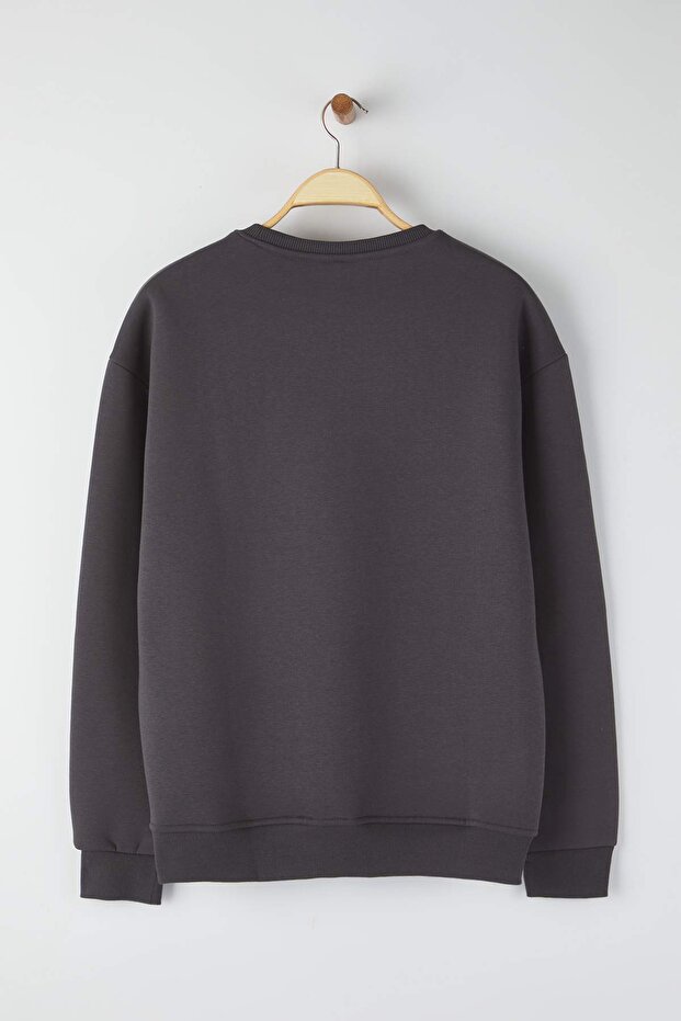 Antrasit Bisiklet Yaka Oversize/Geniş Kesim İçi Polarlı Koala Nakış Sweatshirt TMNAW24SW00064 - 8