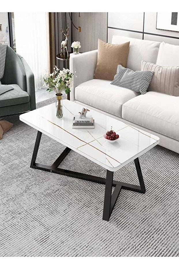 طاولة وسط أريكة مستطيلة الشكل بتصميم نورديك متعدد الوظائف وإطار فولاذي - 1