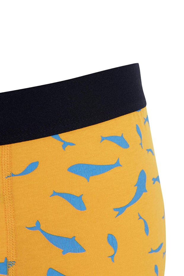 Regular Fit 3'lü Boxer - 4