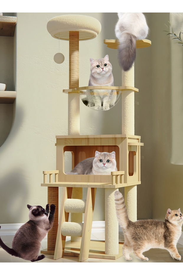 إطار تسلق القطط - شجرة كبسولة للقطط - 3