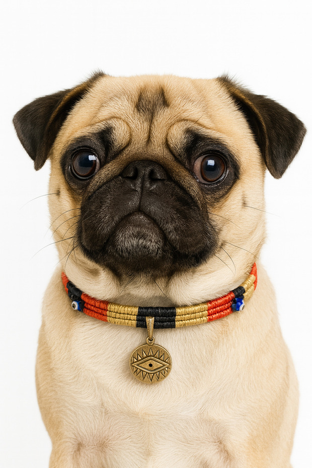 Kuçiko Evil Eye Bead and Eye Detailed Multicolored Dog Necklace with Swinging Charm
