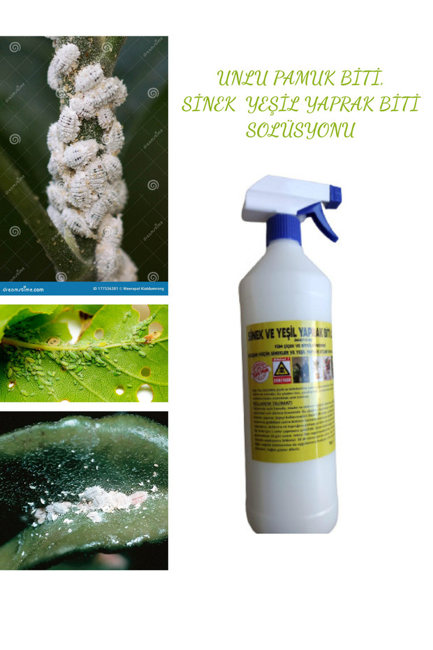 Çiçek Ve Bitkiler Için Unlu Pamuk Biti - Sinek Ve Yaprak Biti Ilacı 1000 ml - 1