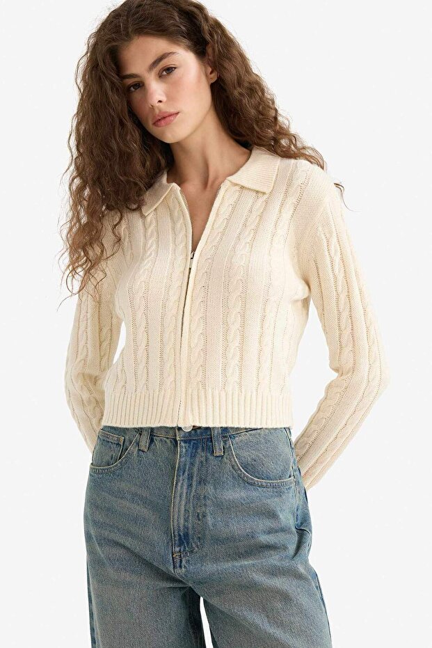 Regular Fit Polo Yaka Fermuarlı Triko Hırka A3331AX25WN - 3