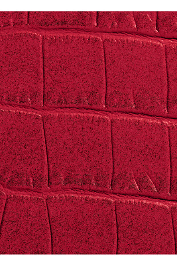 Rouge G 24 Lips Case Le Croco - 1