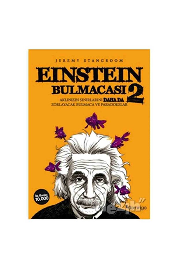 Einstein Bulmacası 2