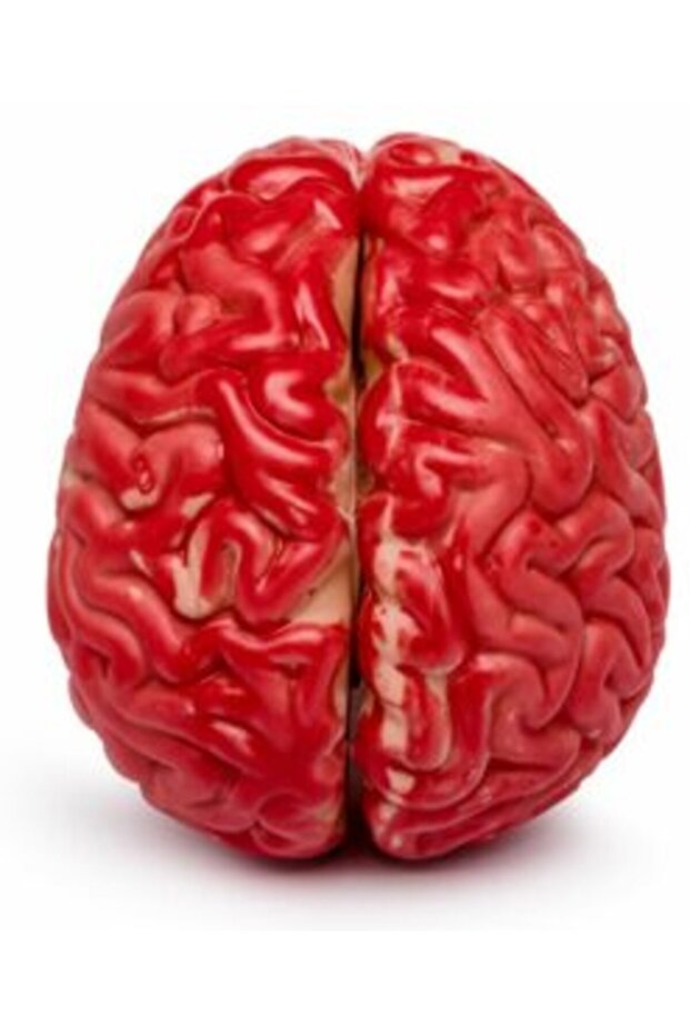 Artificial Brain - 5