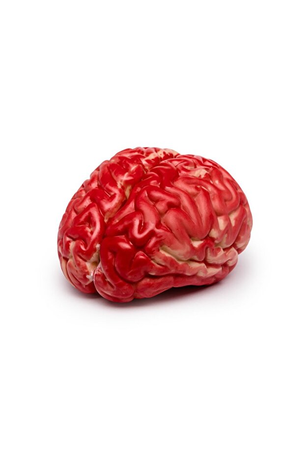 Artificial Brain - 1