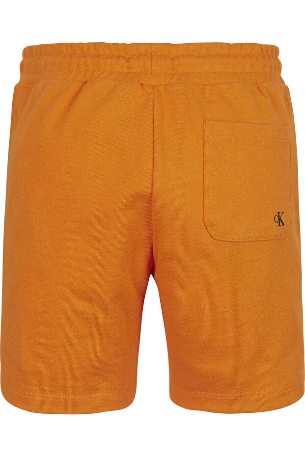 STACKED LOGO RELAXED Erkek Turuncu Şort - 5