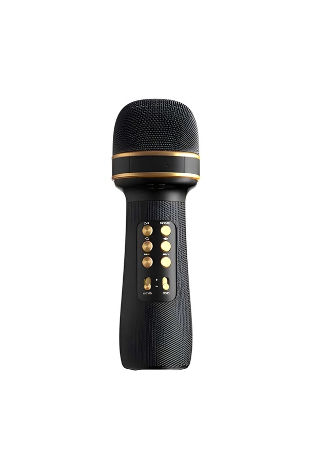 Wireless Microphone, With Bluetooth, Cordless, USB, Black