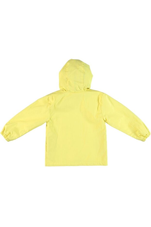 Coat - 2