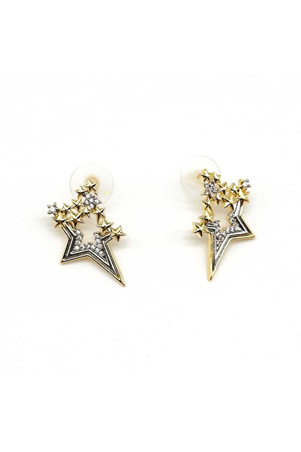 Yildiz Zircon Stone Steel Earrings