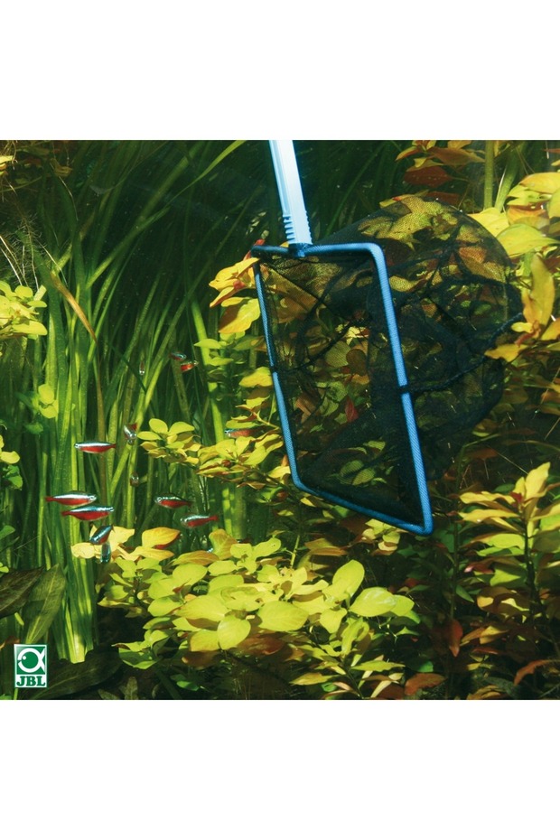 Premium Kepçe 8 Cm - 1