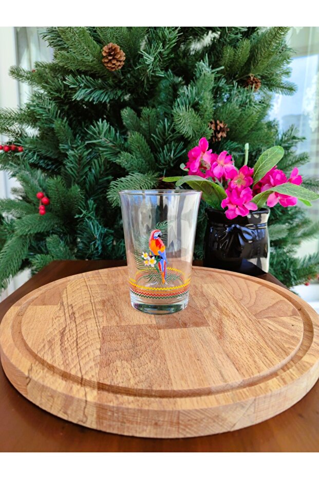 Tropikal 3 Parça Su ve Meşrubat Bardağı Seti 290 ml - 5