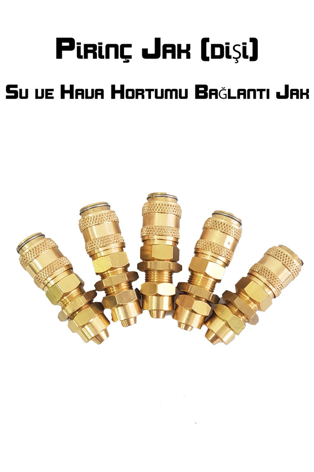 Pirinç Jak (Dişi) - 2