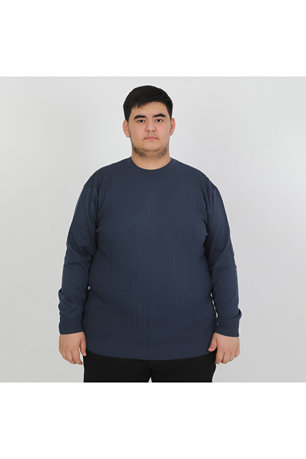 Men's Plus Size Patterned Crew Neck Knitwear