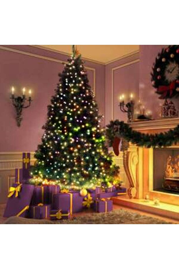 String Lights 50 Multicolored LEDs Mains Powered 5 m 8 Modes - 2