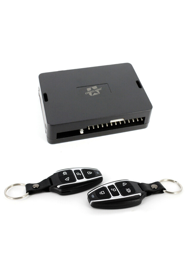 Central locking remote control module - 1