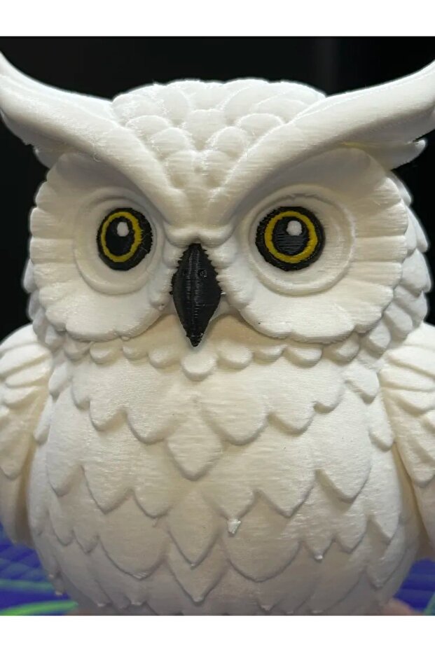 Harry potter Baykuş - 3