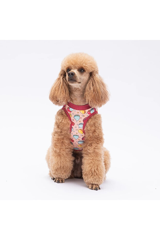 Love Macarons Tişört - 5