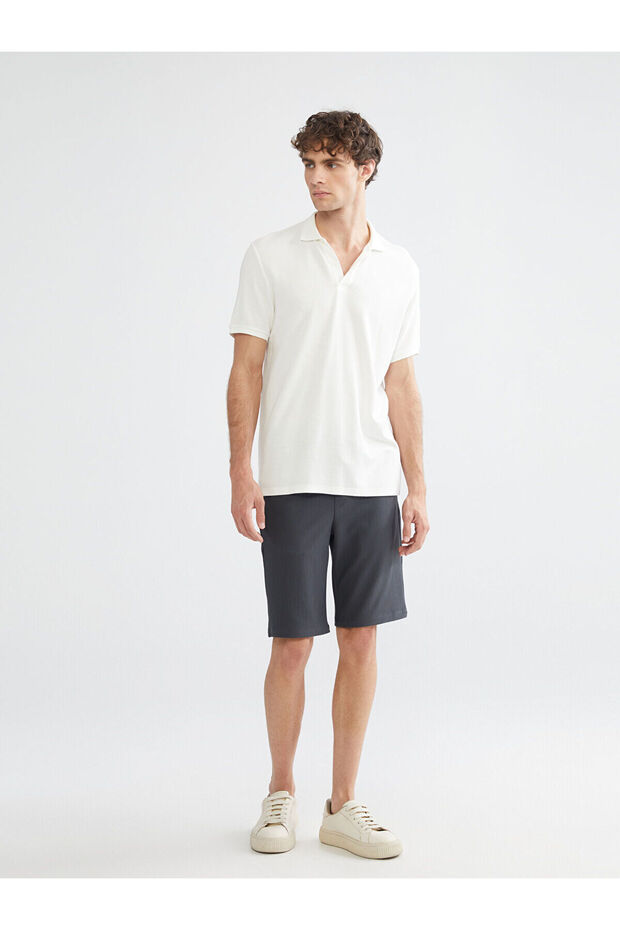 Anthracite Standard Fit Linen Look Men's Shorts