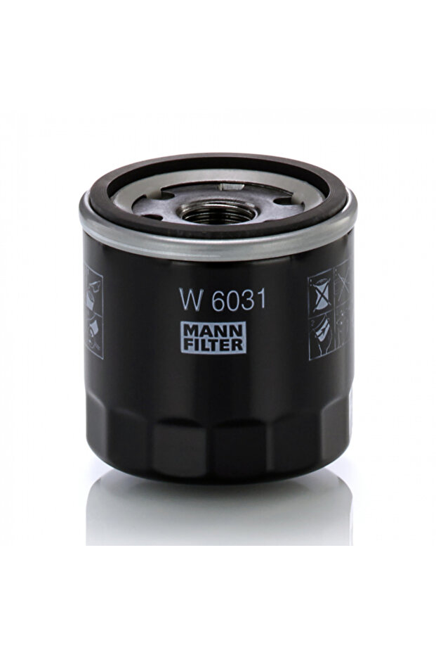 Oil Filter W 6031 - 1
