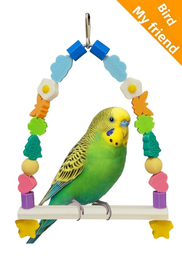 Muhabbet & Sevda & Cennet & Forpus Swing Unpainted Colored Silent Swing Bird Parrot